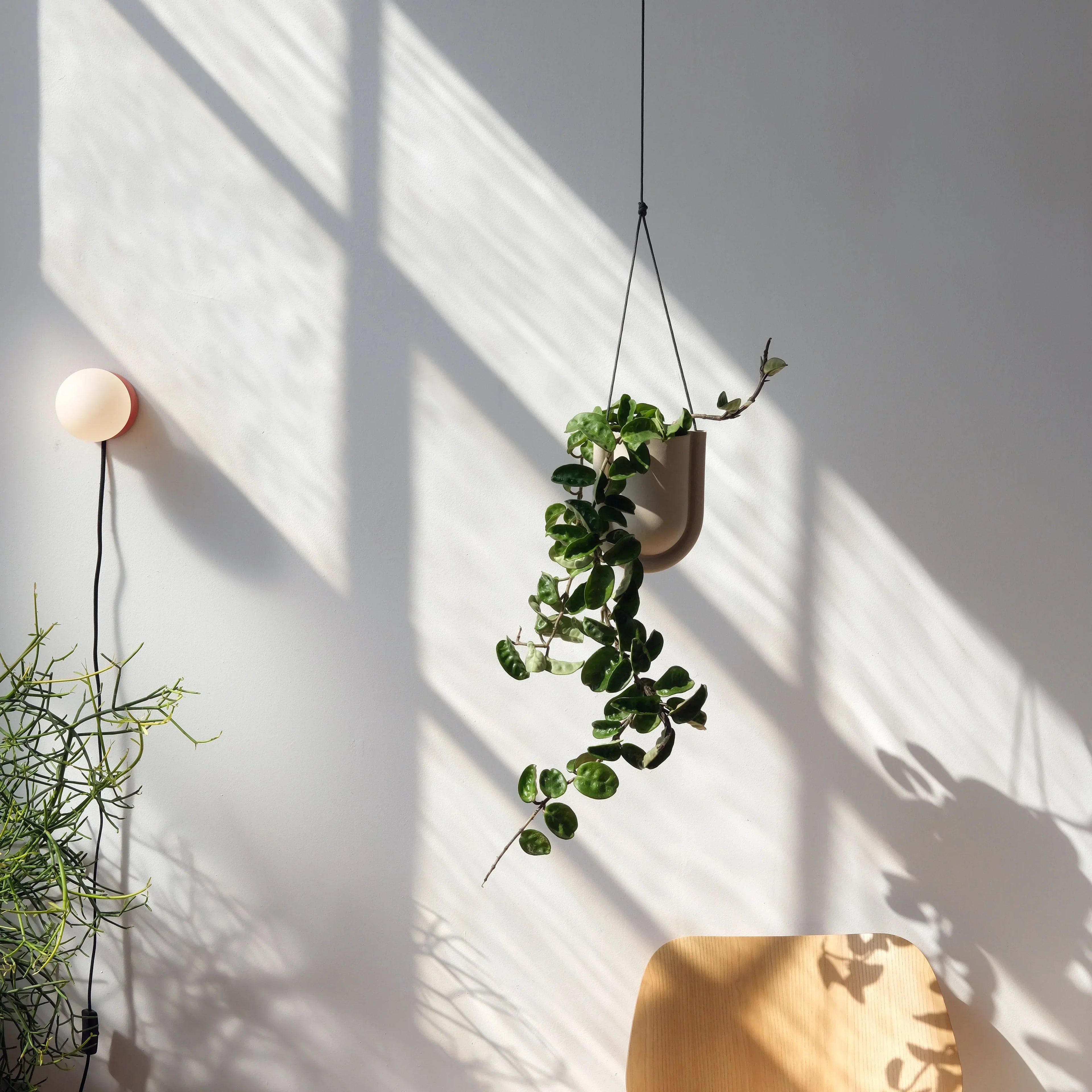 Portico Planter Misewell