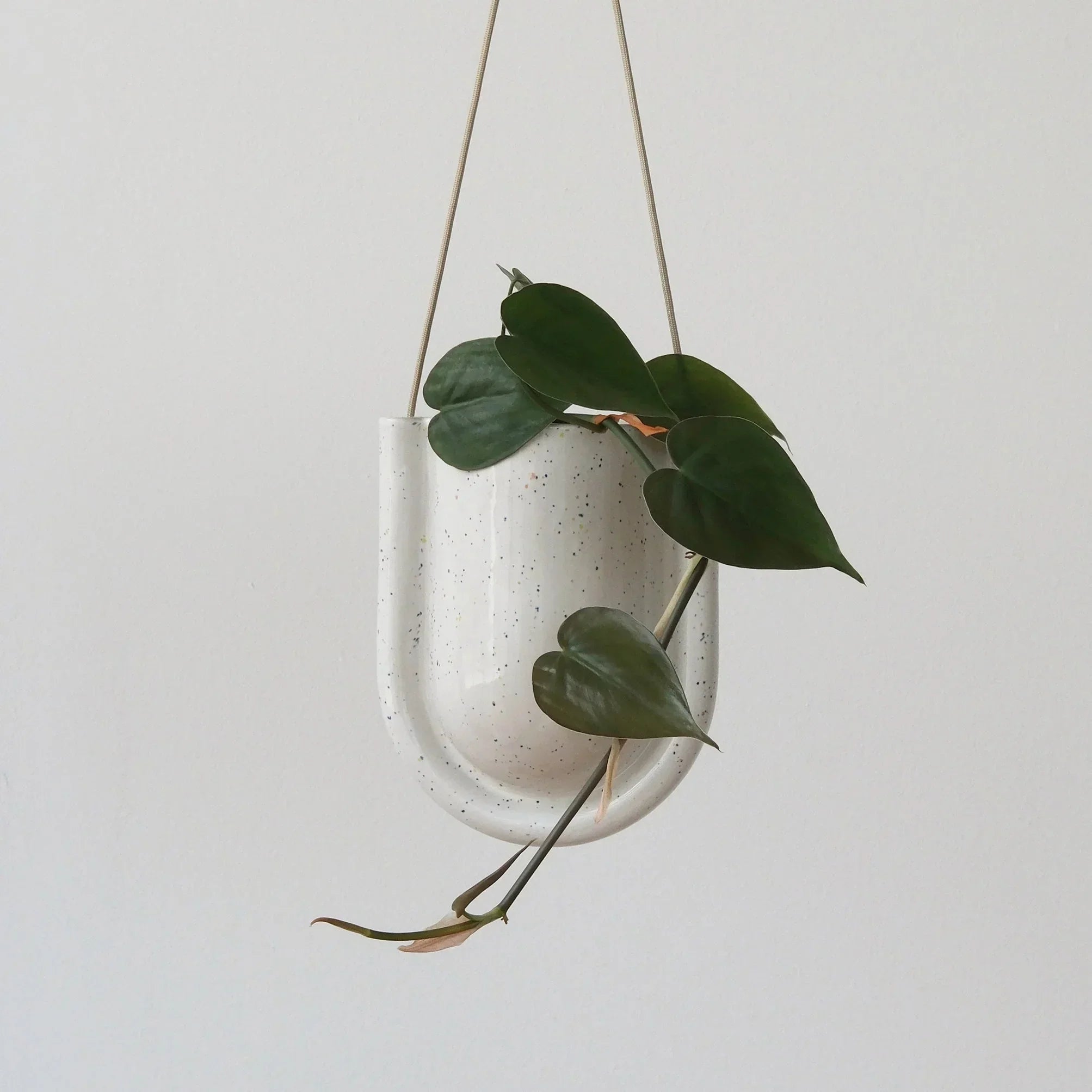 Portico Planter Misewell