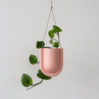 Portico Planter Misewell