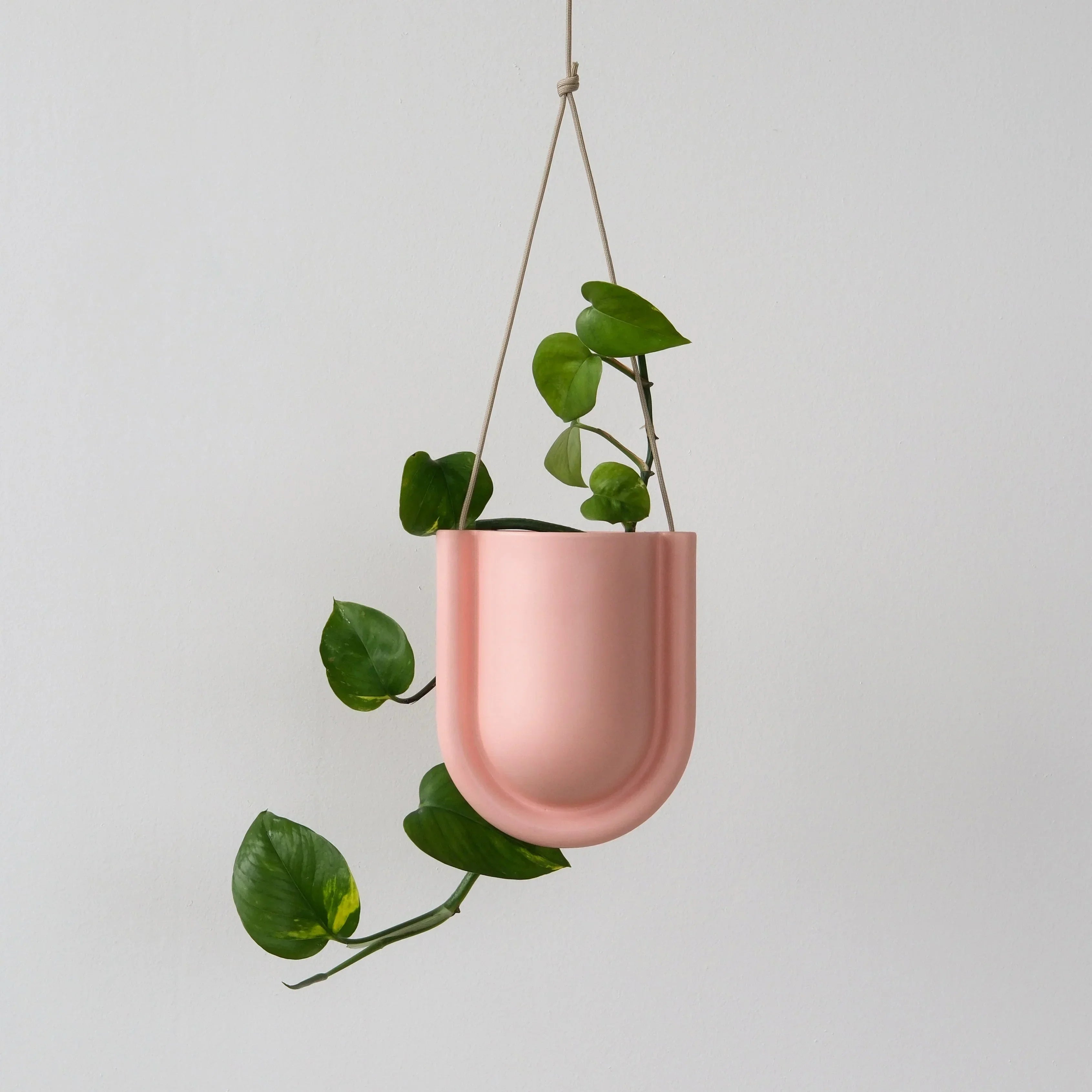 Portico Planter Misewell