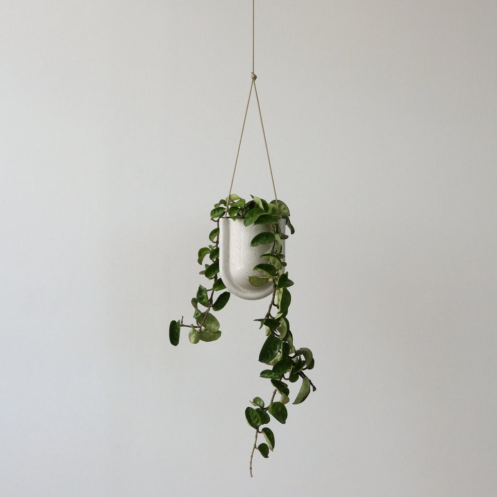 Portico Planter Misewell