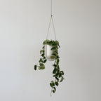 Portico Planter Misewell