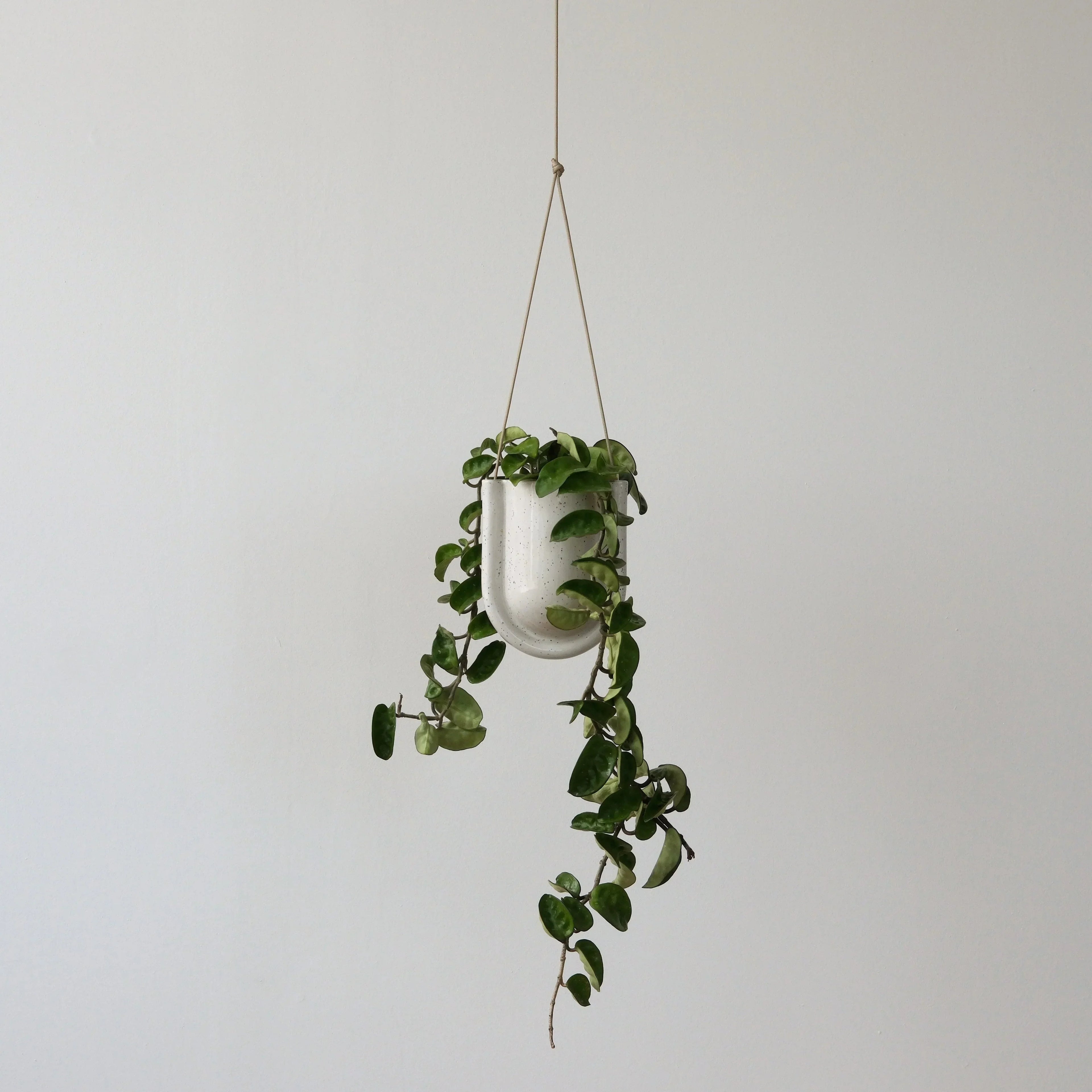 Portico Planter Misewell
