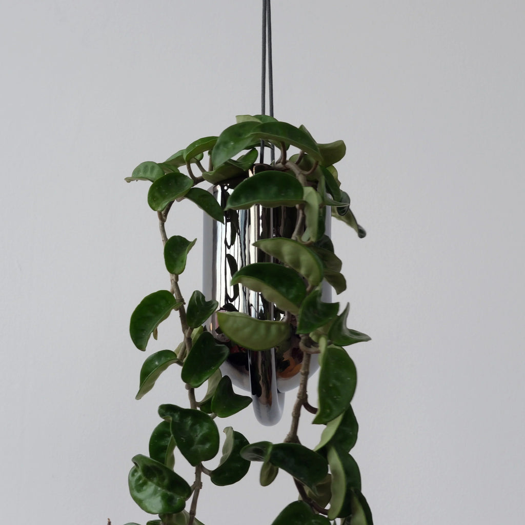 Portico Planter Misewell