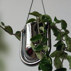 Portico Planter - Chrome Misewell