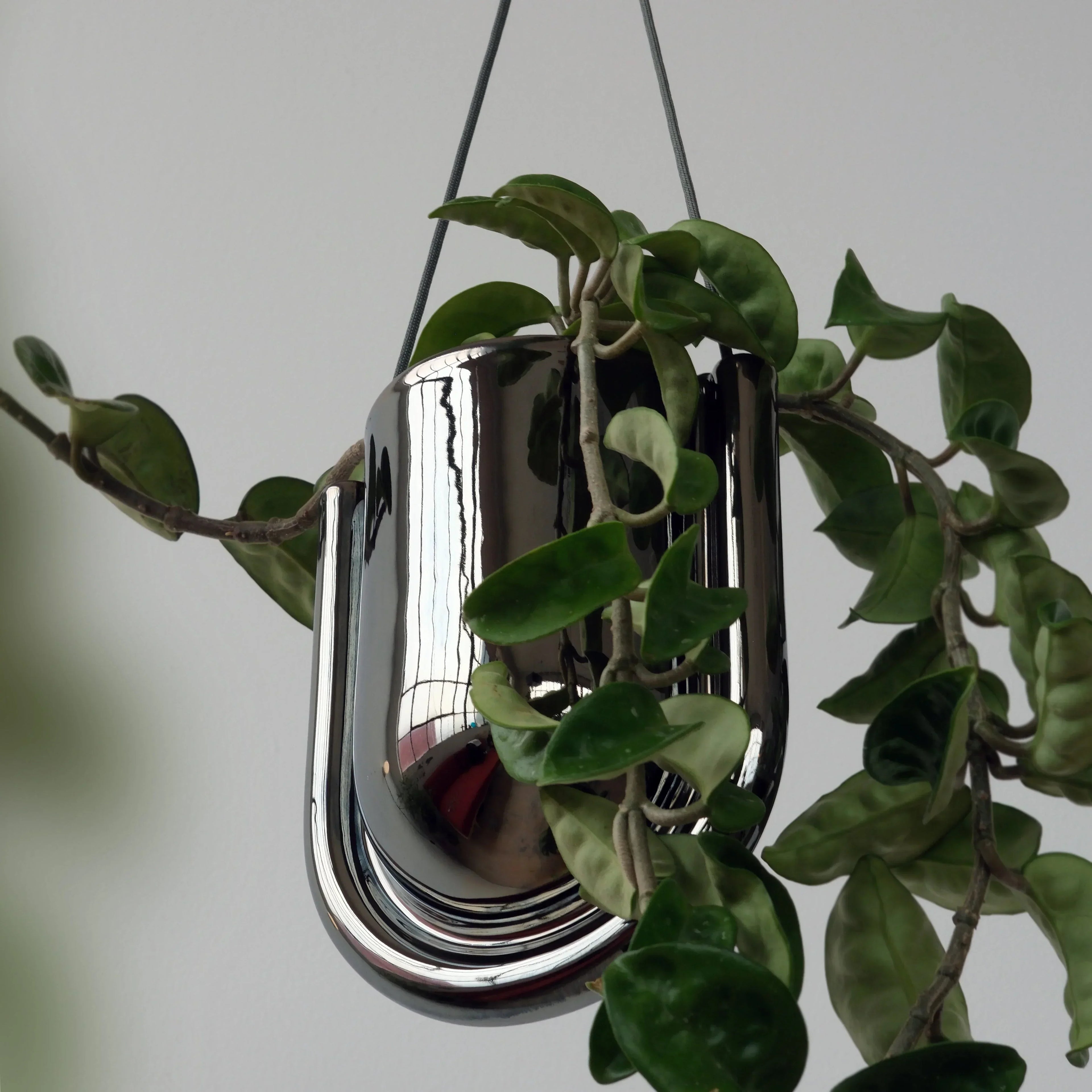 Portico Planter - Chrome Misewell