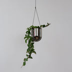Portico Planter - Chrome Misewell