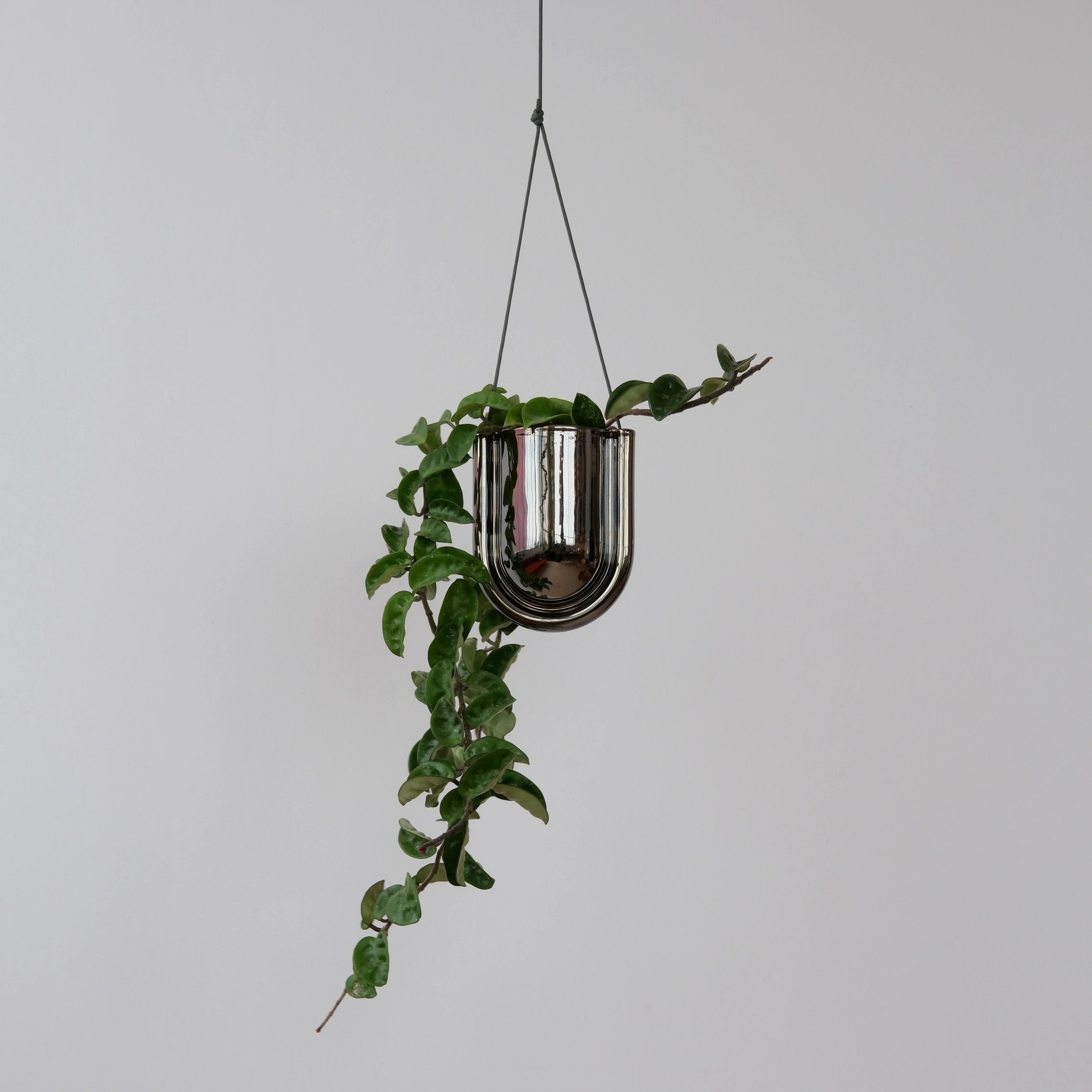 Portico Planter - Chrome Misewell