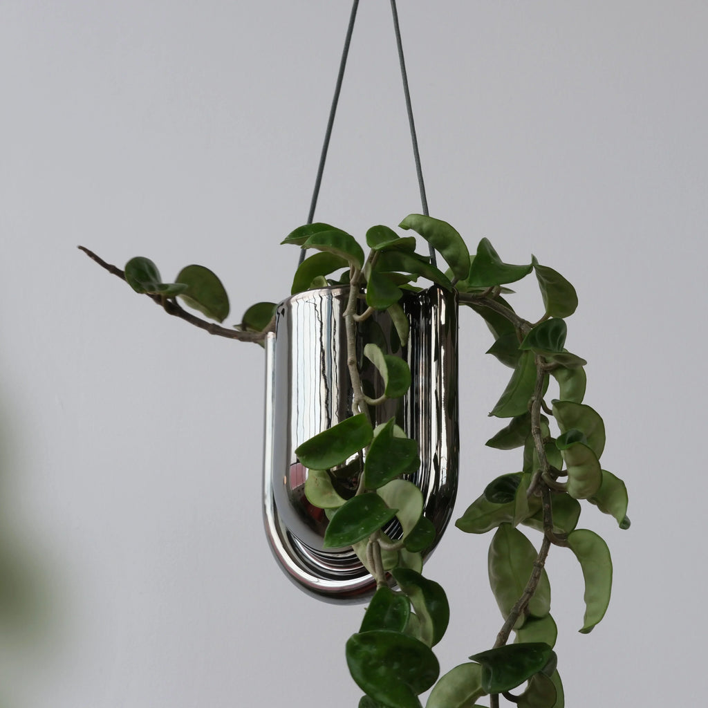 Portico Planter - Chrome Misewell