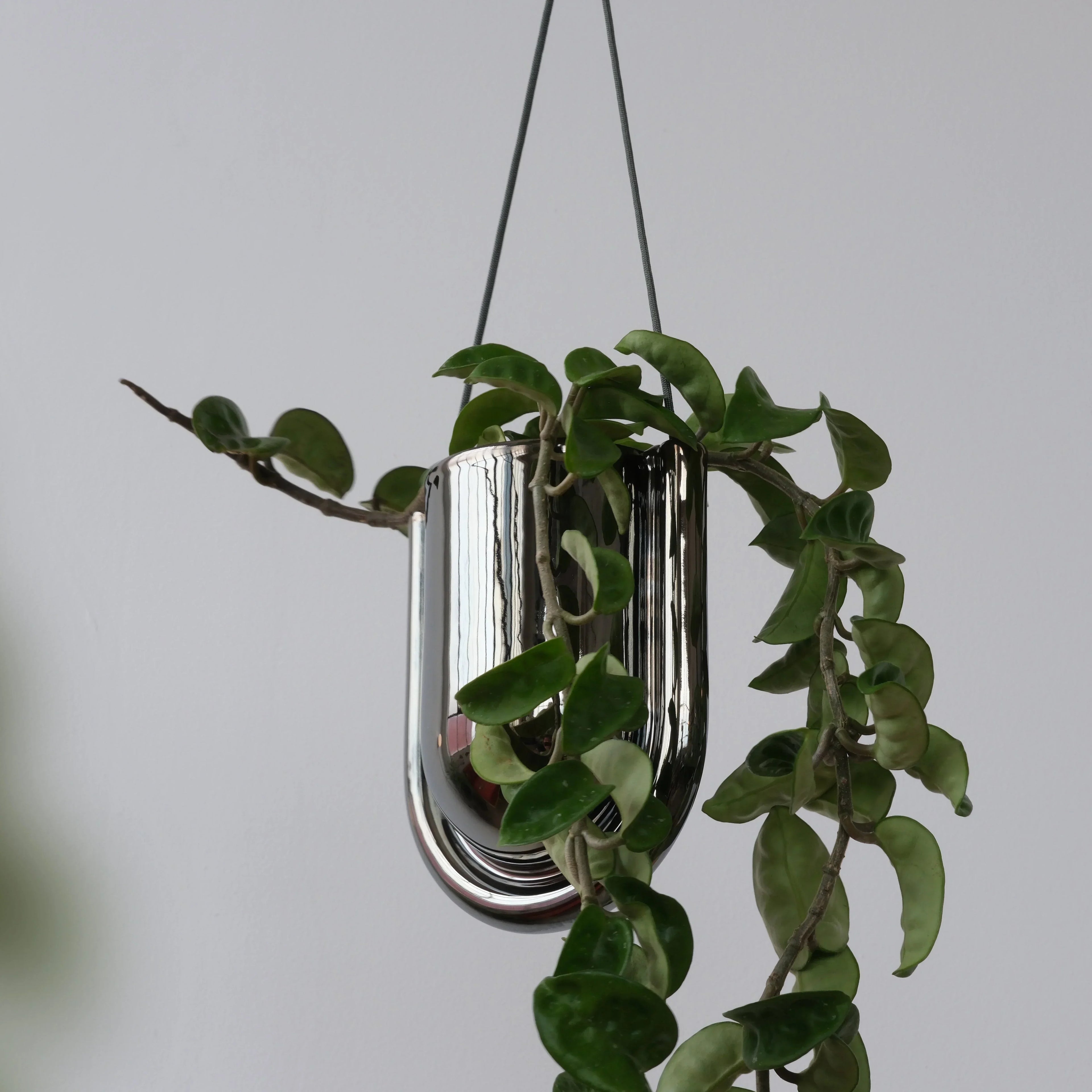 Portico Planter - Chrome Misewell