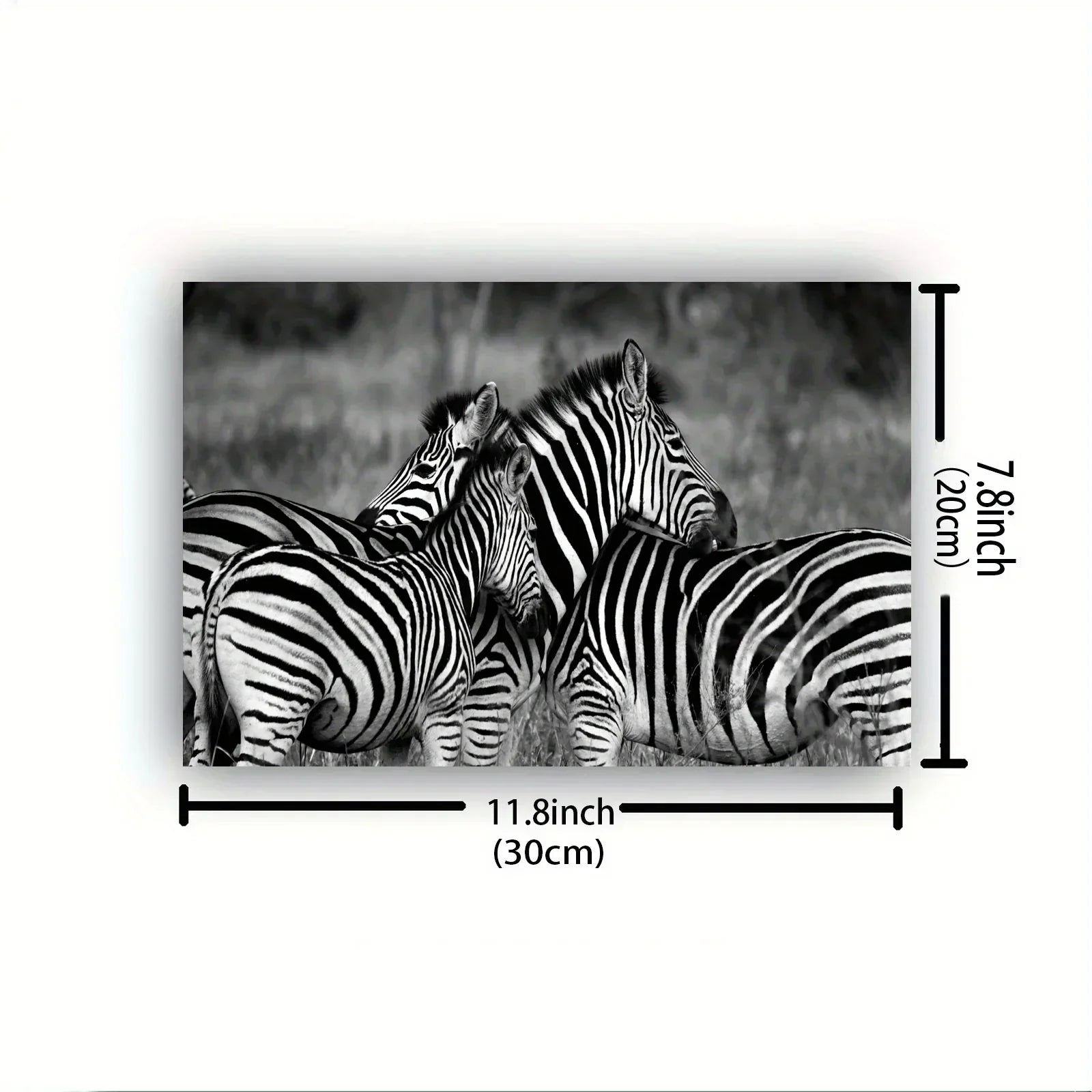Vintage Gentle Zebra Postercanvas Print Poster, Perfect Aesthetic Accent, Vibrant Artwork for Gift, Home... - House Of Avana