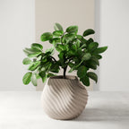 SEA Planter Modernized Pottery