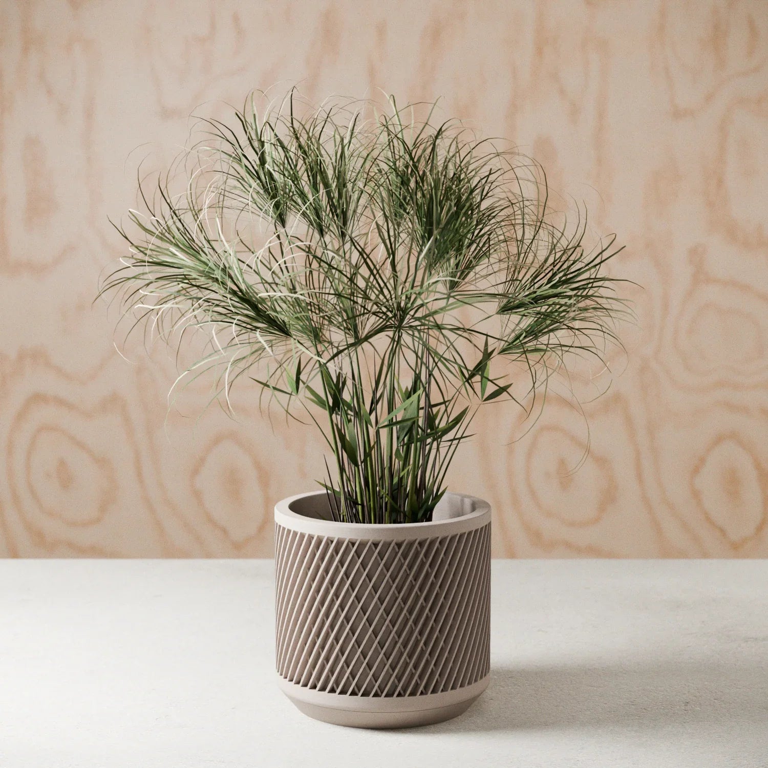 Weave Planter Modernized Pottery