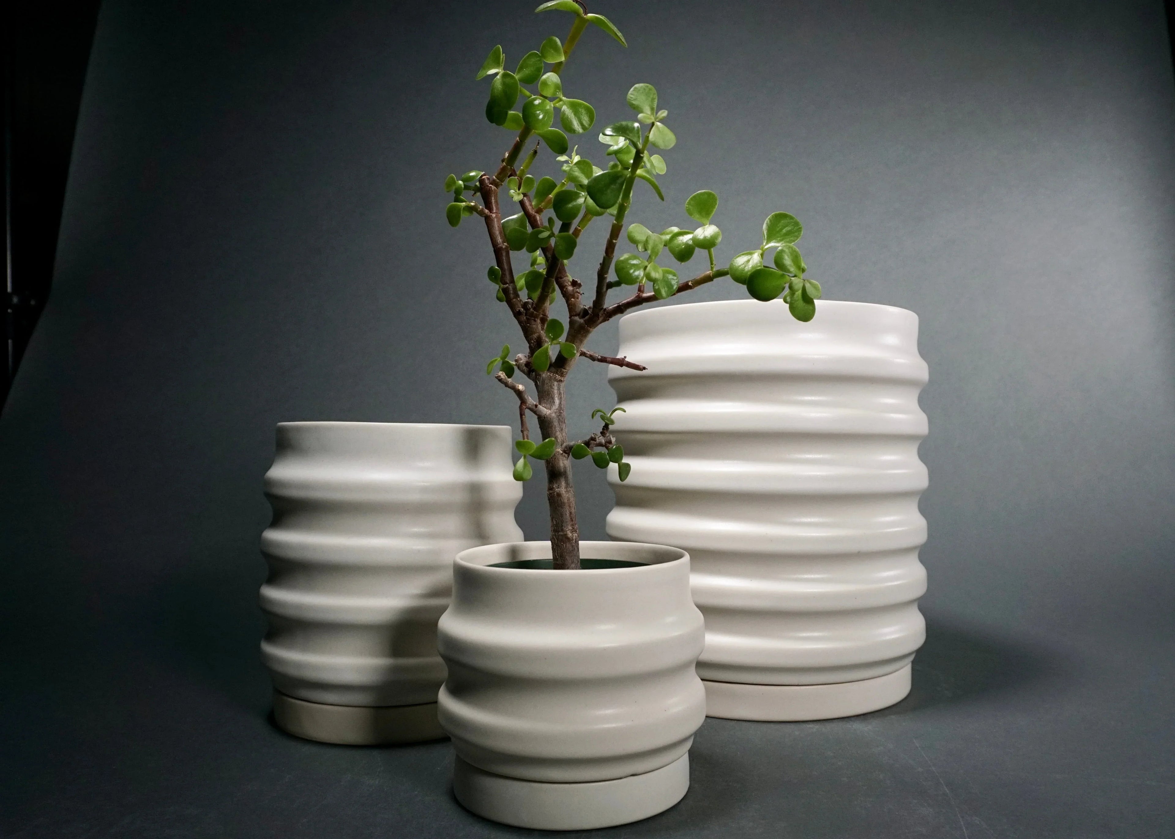 Primera Planters New York Handcrafted