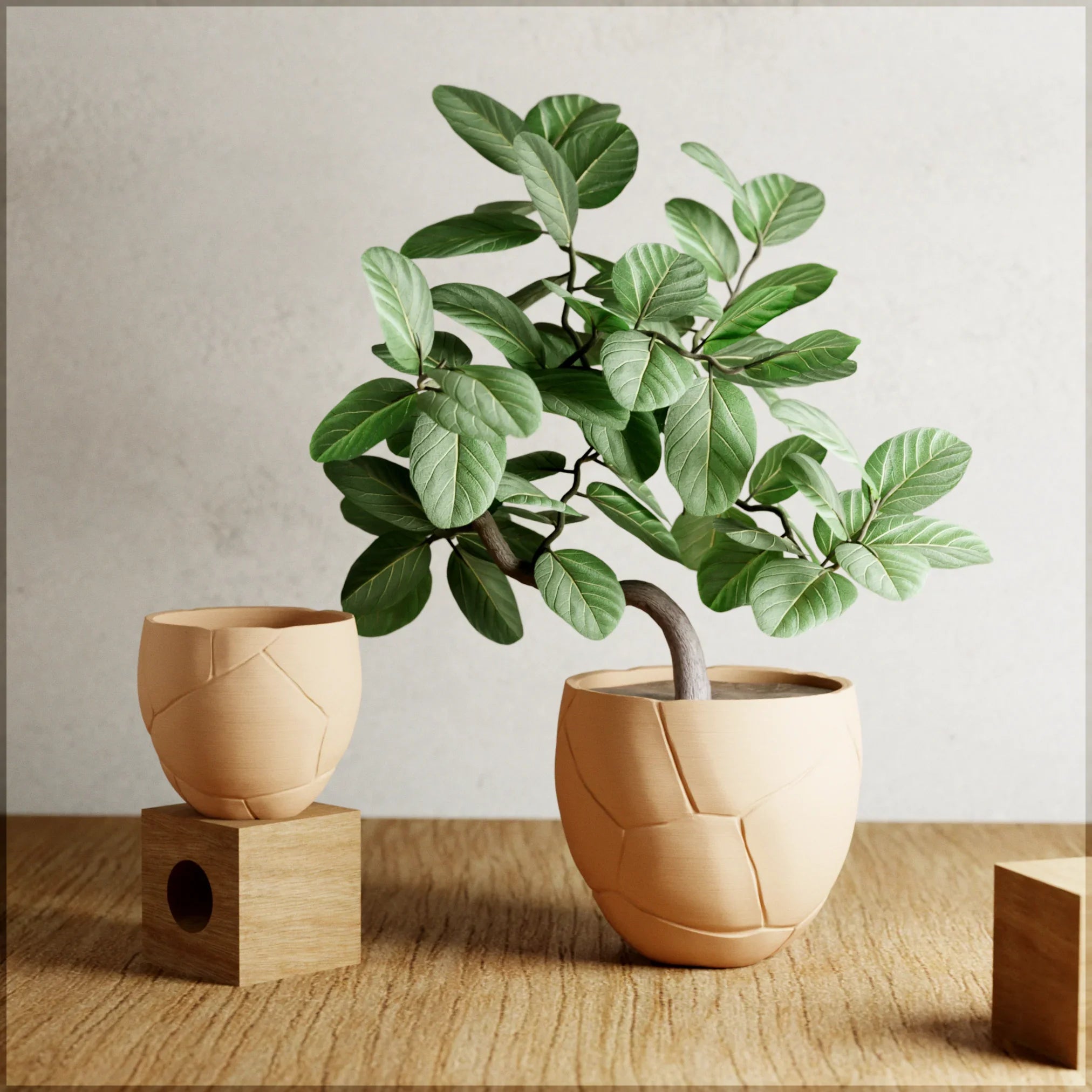 Quake Planter, texture detail - House Of Avana