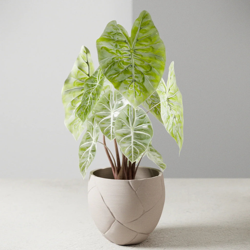 Quake Planter, back view - House Of Avana