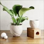 Quake Planter, side view - House Of Avana