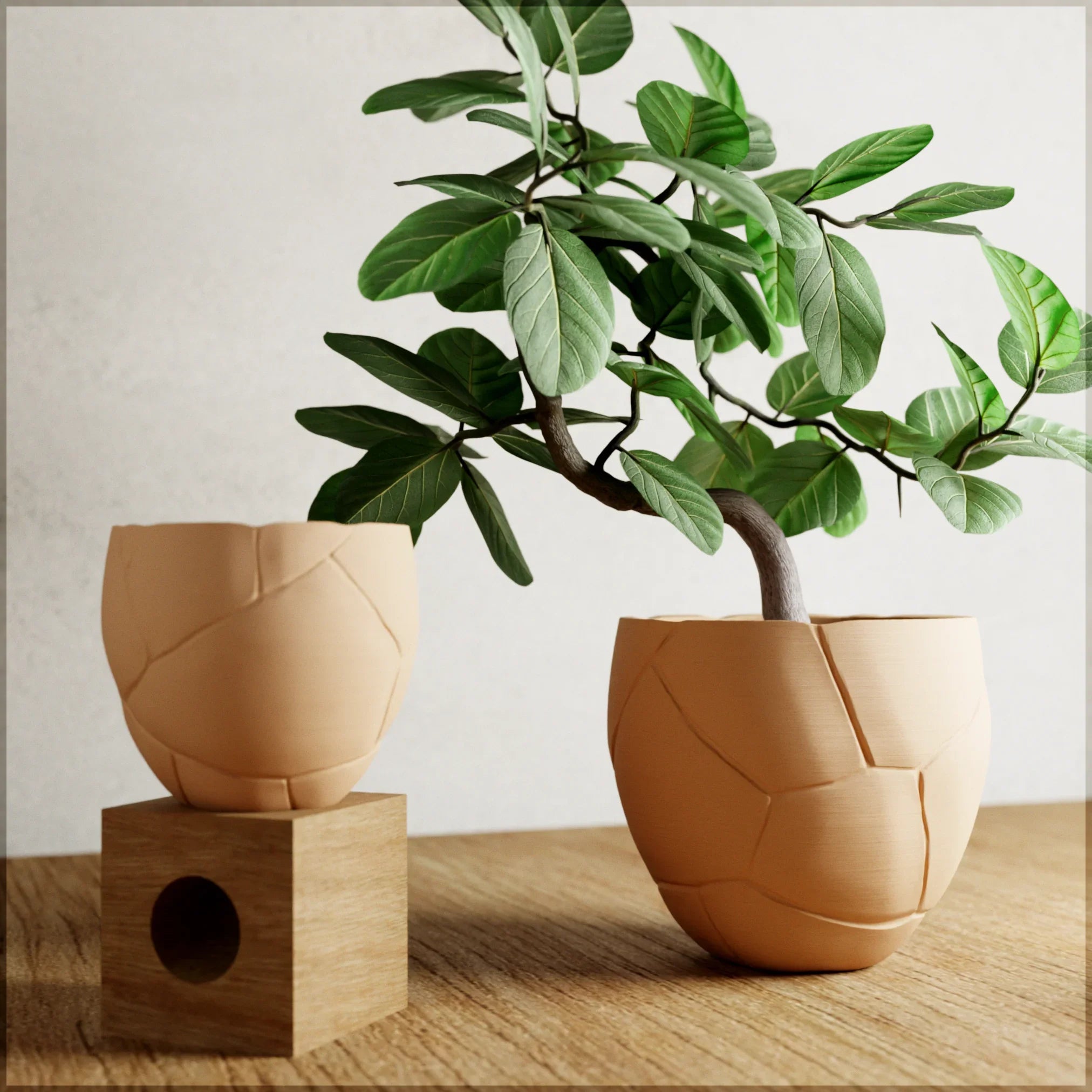 Quake Planter, detail shot - House Of Avana