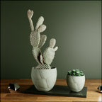 Quake Planter, angled view - House Of Avana