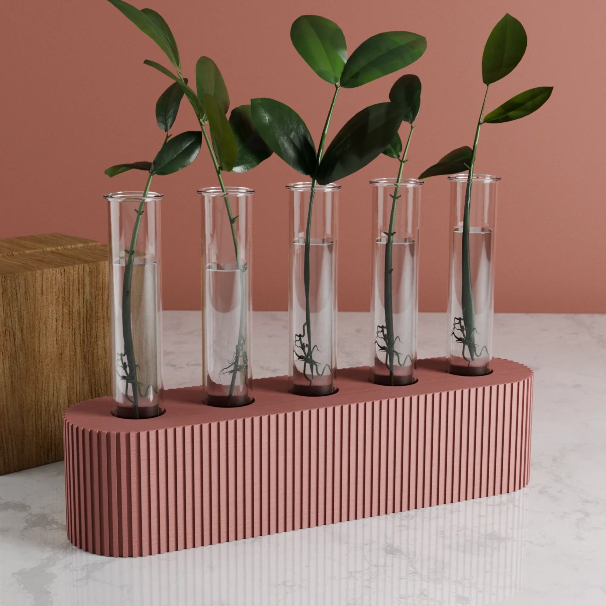 Quintuple Propagation Stand, angled view - House Of Avana