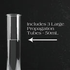 Quintuple Propagation Stand, angled view - House Of Avana