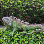 Realistic Lizard Statue - Lifelike Garden Decor with Expressive Eyes & Scales, Outdoor/Indoor Decoration for Pond, Patio, Living Room - No Electricity Needed, Durable Resin Construction - Perfect Housewarming, Father'S Day, C House Of Avana