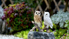 Realistic Garden Owl Statue - Resin Outdoor Yard Decor with Lifelike Brown and White Feathers, Ideal for Bird Lovers & Nature Enthusiasts, Perfect Father'S Day Gift, Garden Decoration | Lifelike Owl Statue | Detailed Feather House Of Avana