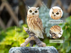 Realistic Garden Owl Statue - Resin Outdoor Yard Decor with Lifelike Brown and White Feathers, Ideal for Bird Lovers & Nature Enthusiasts, Perfect Father'S Day Gift, Garden Decoration | Lifelike Owl Statue | Detailed Feather House Of Avana