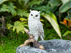 Realistic Garden Owl Statue - Resin Outdoor Yard Decor with Lifelike Brown and White Feathers, Ideal for Bird Lovers & Nature Enthusiasts, Perfect Father'S Day Gift, Garden Decoration | Lifelike Owl Statue | Detailed Feather House Of Avana