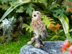 Realistic Garden Owl Statue - Resin Outdoor Yard Decor with Lifelike Brown and White Feathers, Ideal for Bird Lovers & Nature Enthusiasts, Perfect Father'S Day Gift, Garden Decoration | Lifelike Owl Statue | Detailed Feather House Of Avana