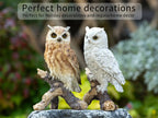 Realistic Garden Owl Statue - Resin Outdoor Yard Decor with Lifelike Brown and White Feathers, Ideal for Bird Lovers & Nature Enthusiasts, Perfect Father'S Day Gift, Garden Decoration | Lifelike Owl Statue | Detailed Feather House Of Avana [[SKU:HOA-GSC-400]]