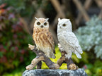 Realistic Garden Owl Statue - Resin Outdoor Yard Decor with Lifelike Brown and White Feathers, Ideal for Bird Lovers & Nature Enthusiasts, Perfect Father'S Day Gift, Garden Decoration | Lifelike Owl Statue | Detailed Feather House Of Avana