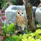 Realistic Garden Owl Statue - Resin Outdoor Yard Decor with Lifelike Brown and White Feathers, Ideal for Bird Lovers & Nature Enthusiasts, Perfect Father'S Day Gift, Garden Decoration | Lifelike Owl Statue | Detailed Feather House Of Avana