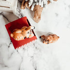 Reindeer Salt & Pepper Shakers Gia Roma