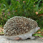 [Charming Hedgehog Statue] Resin Hedgehog Statue - Charming Outdoor/Indoor Decor for Living Room, Bedroom, Entryway, Garden - Realistic Fur Texture, Detailed Craftsmanship - Perfect Valentine's Day Gift & Home Decoration House Of Avana