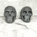 Resin Skull