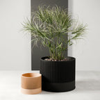 Sakura Planter, back view - House Of Avana