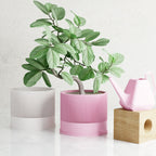 Sakura Planter, angled view - House Of Avana