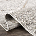 Baqer Bone & Tan Area Rug Hauteloom