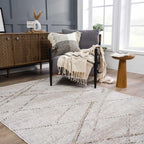 Baqer Bone & Tan Area Rug Hauteloom