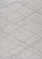 Baqer Taupe & Gray Area Rug Hauteloom
