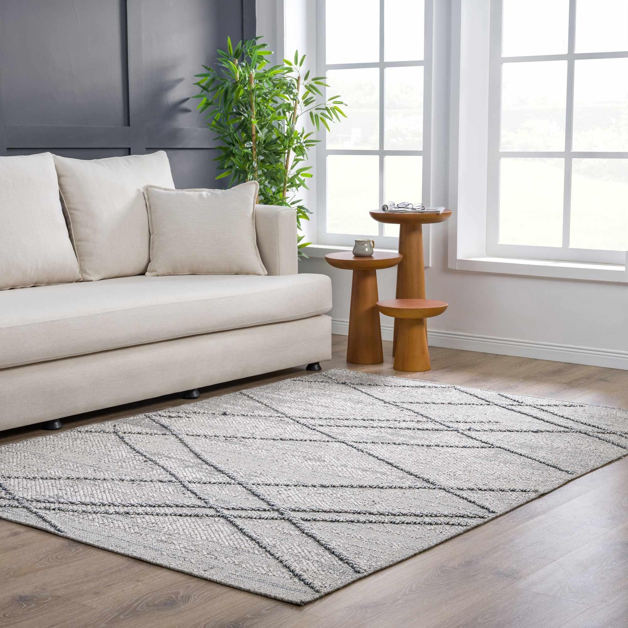 Baqer Taupe & Gray Area Rug Hauteloom