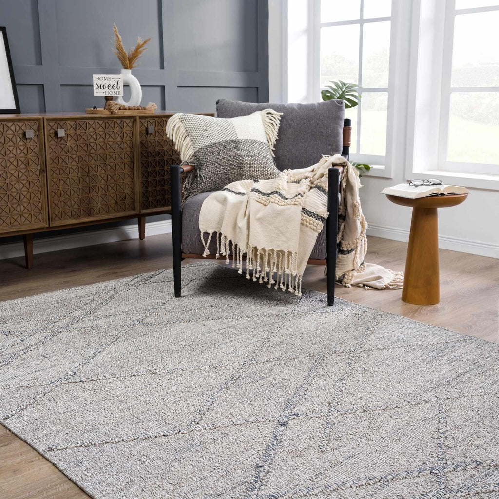Baqer Taupe & Gray Area Rug Hauteloom