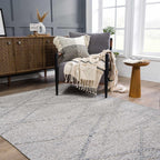 Baqer Taupe & Gray Area Rug Hauteloom
