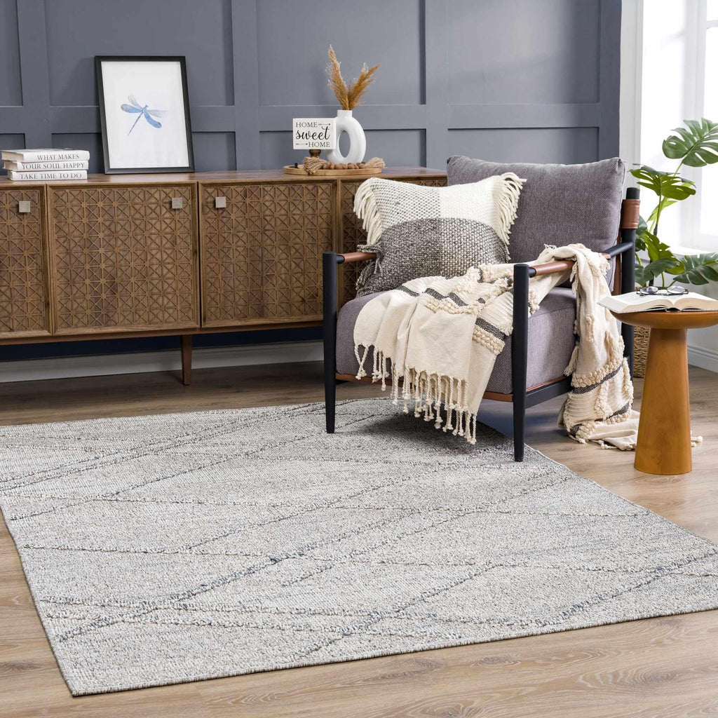 Baqer Taupe & Gray Area Rug Hauteloom