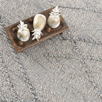 Baqer Taupe & Gray Area Rug Hauteloom