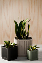 Stack Planter, front view - House Of Avana