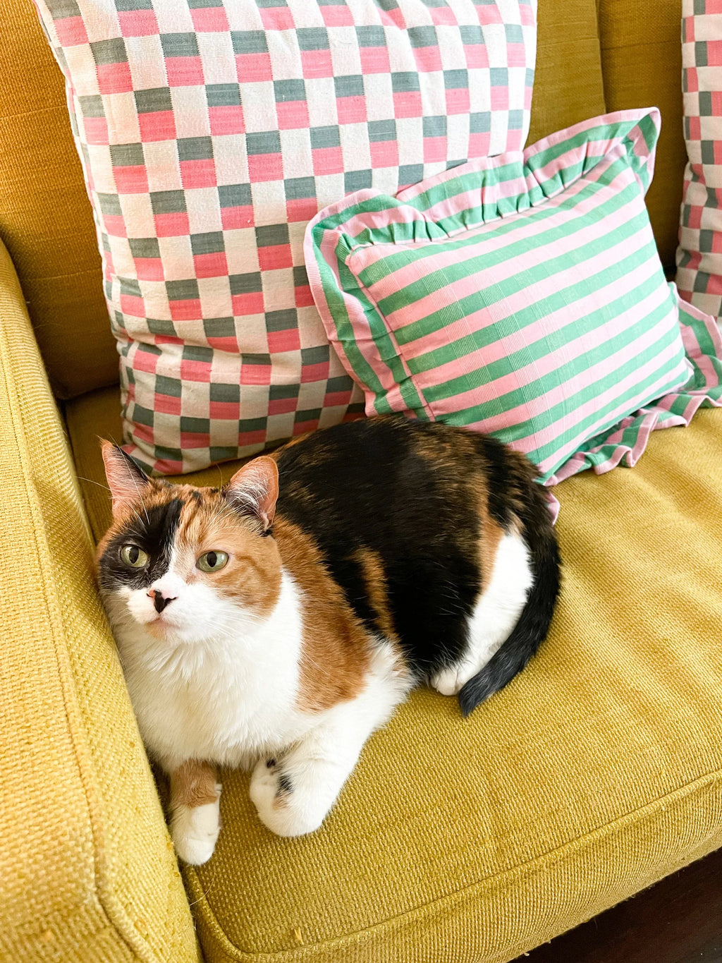 Archive NY Flora Stripe Ruffle Pillow Archive New York