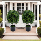 Set of 2 Realistic 50.8cm Artificial Boxwood Topiary Trees with Pots - Full Ball Shape Fake Shrubs, Faux Conical Trees for Indoor/Outdoor Use, Low-Maintenance Plastic Foliage (No Pruning) - Christmas, Garden & Decor House Of Avana