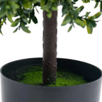 Set of 2 Realistic 50.8cm Artificial Boxwood Topiary Trees with Pots - Full Ball Shape Fake Shrubs, Faux Conical Trees for Indoor/Outdoor Use, Low-Maintenance Plastic Foliage (No Pruning) - Christmas, Garden & Decor House Of Avana
